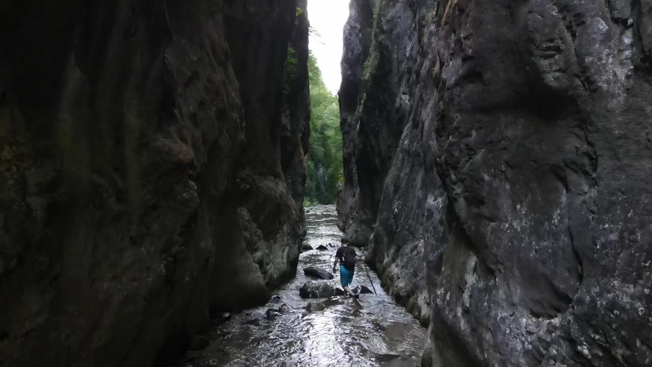 Stock Video Explorer Through A River In The Forest Live Wallpaper For PC