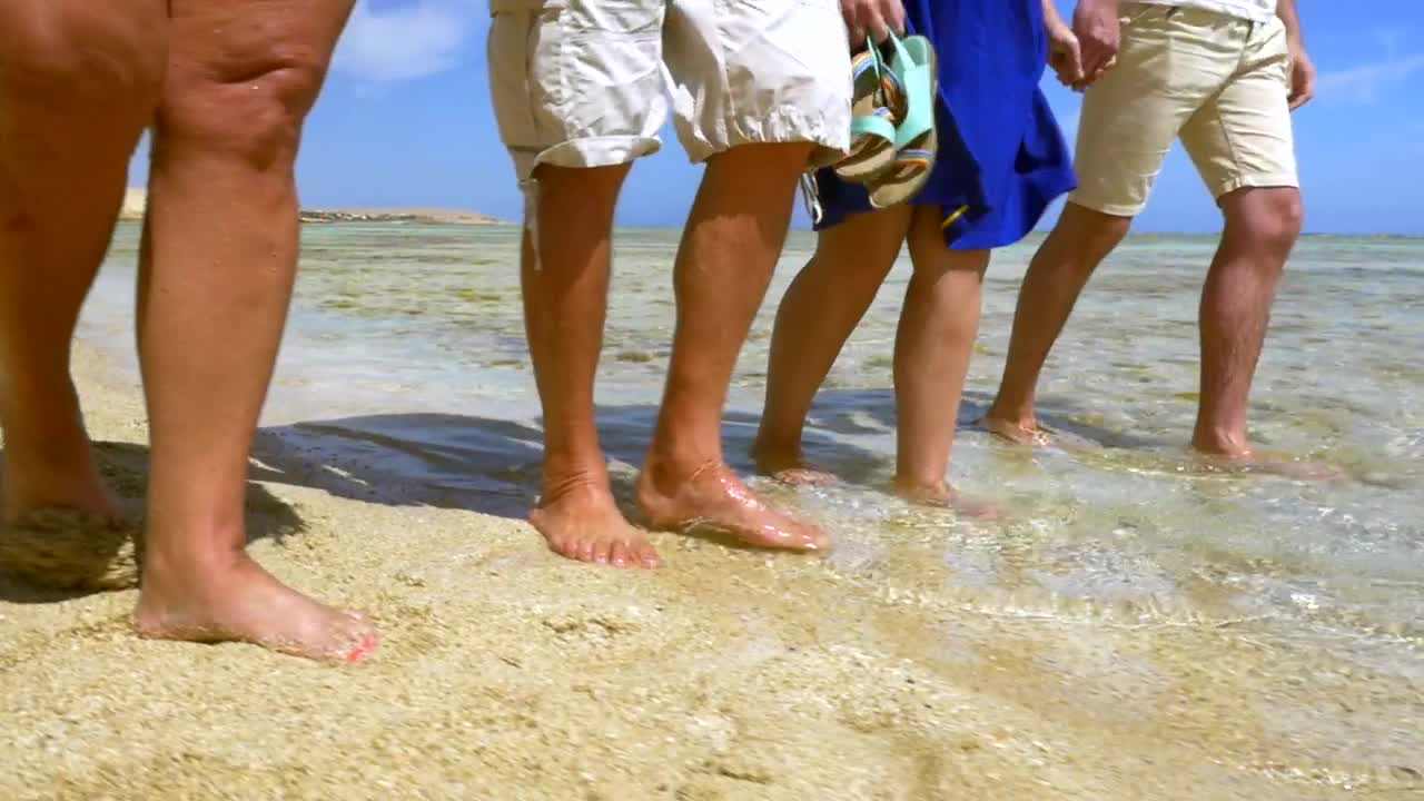 Stock Video Enjoying Warm Weather As A Family Live Wallpaper For PC