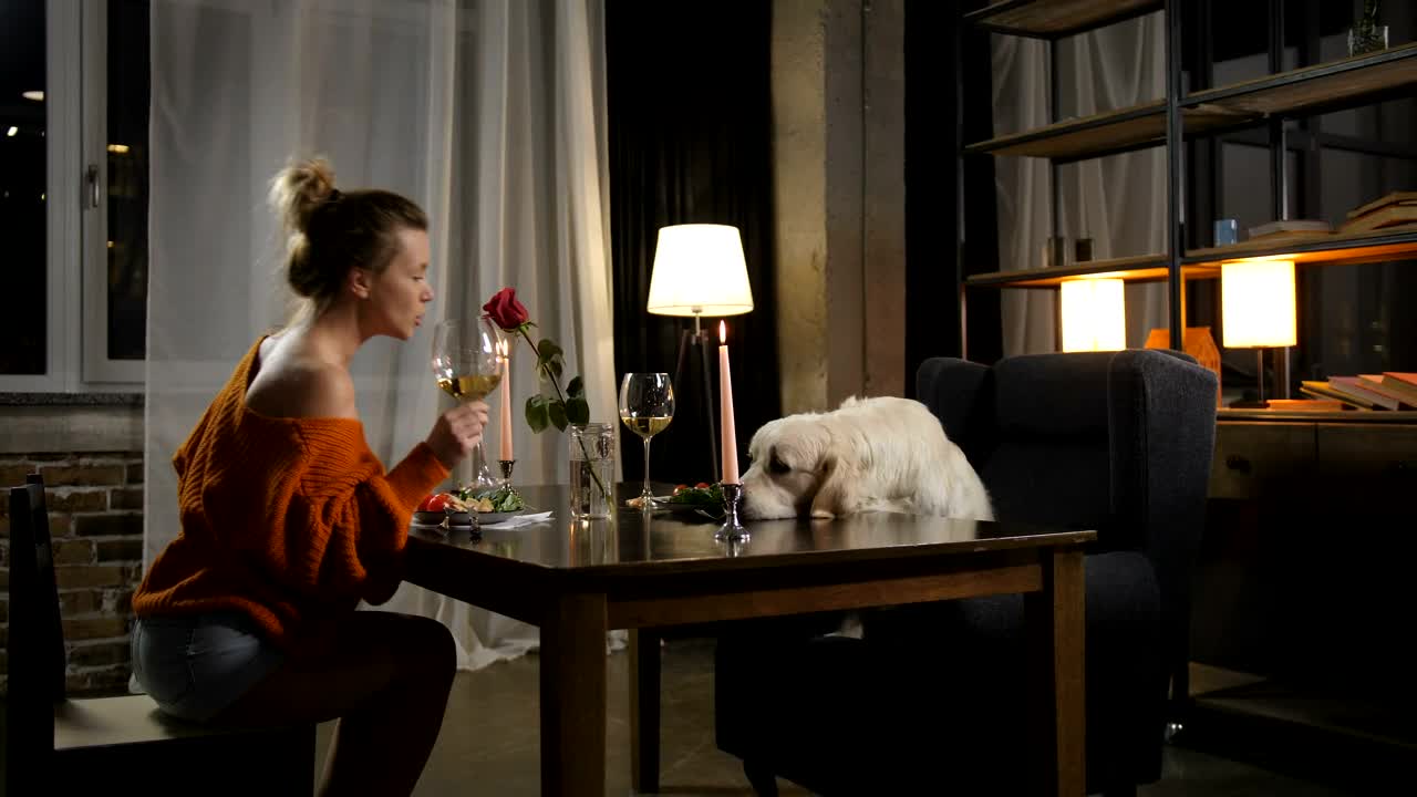 Stock Video Enjoying A Glass Of Wine With Her Dog Live Wallpaper For PC