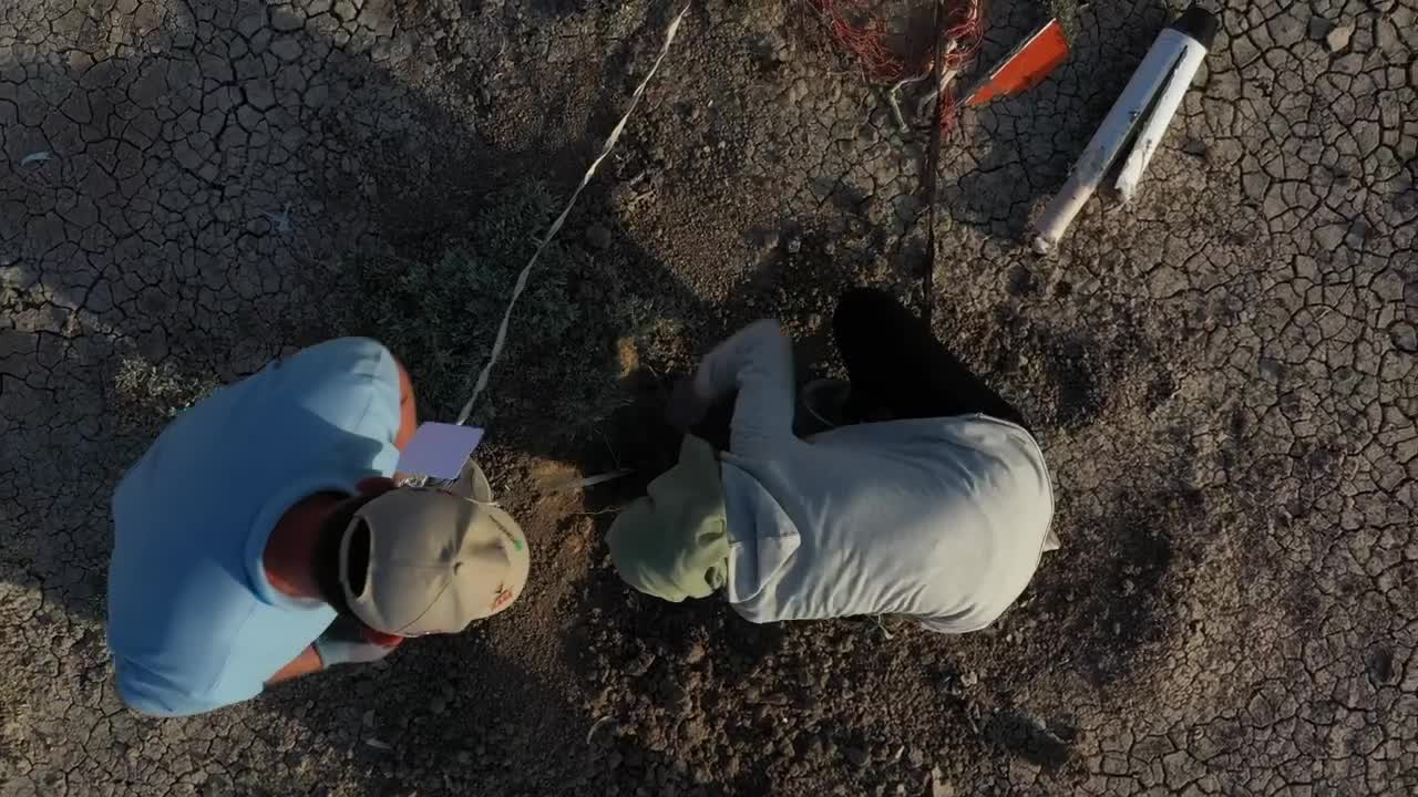 Stock Video Engineers Digging In The Sand Live Wallpaper For PC