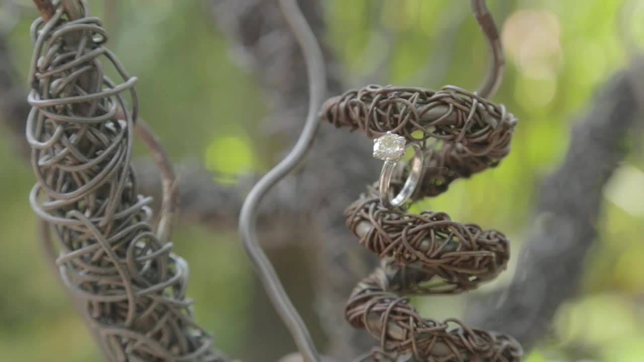 Stock Video Engagement Ring Portrait Live Wallpaper For PC