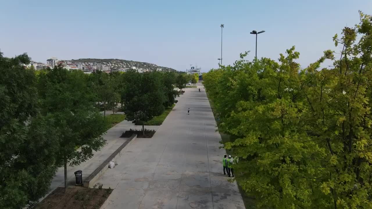 Stock Video Empty Path In A Park During A Sunny Day Live Wallpaper For PC