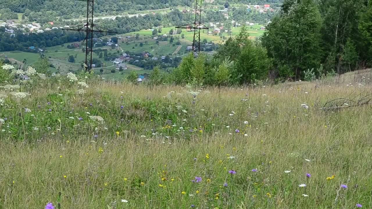 Stock Video Electrical Wiring Towers In The Countryside Live Wallpaper For PC