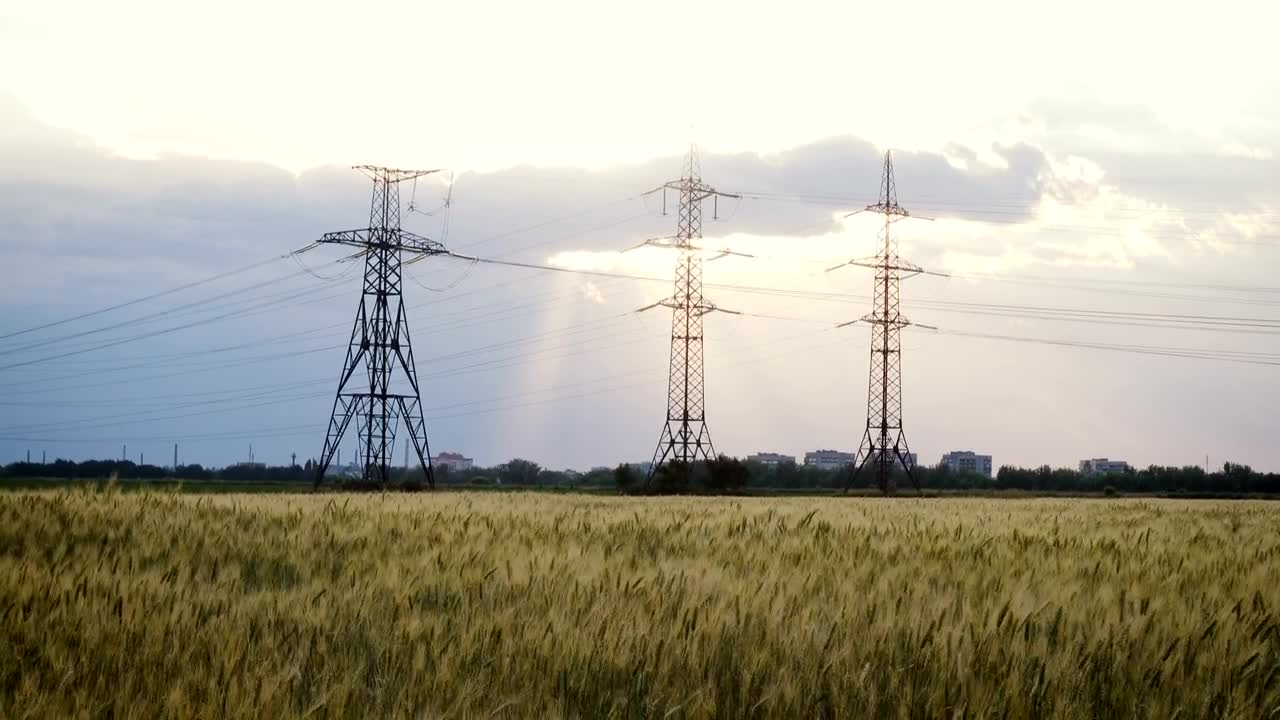 Stock Video Electric Towers In A Wheat Field Live Wallpaper For PC