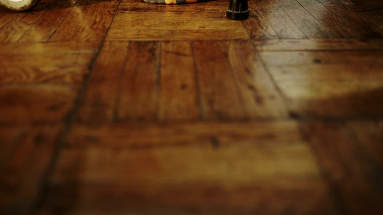 Stock Video Elderly Woman Moving With A Walker Live Wallpaper For PC