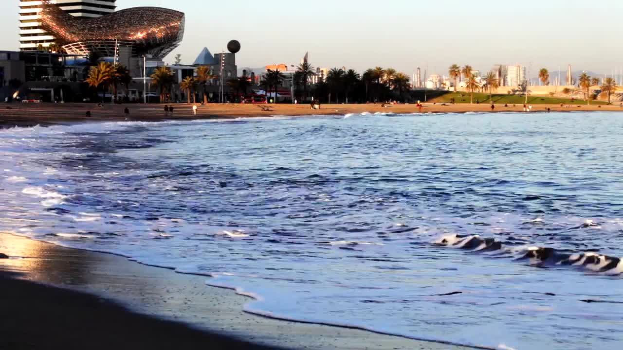 Stock Video Edge Of The Beach While The Small Waves Break On Live Wallpaper For PC
