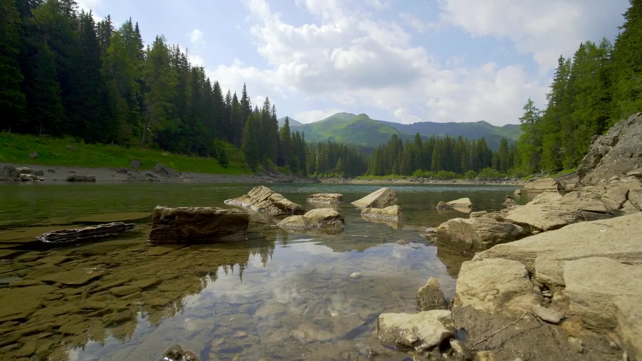 Stock Video Edge Of A Lake In The Woods In The Mountains Live Wallpaper For PC