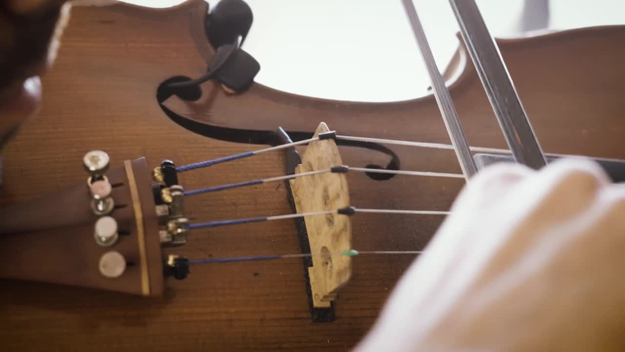 Stock Video Dust Off Violin Live Wallpaper For PC