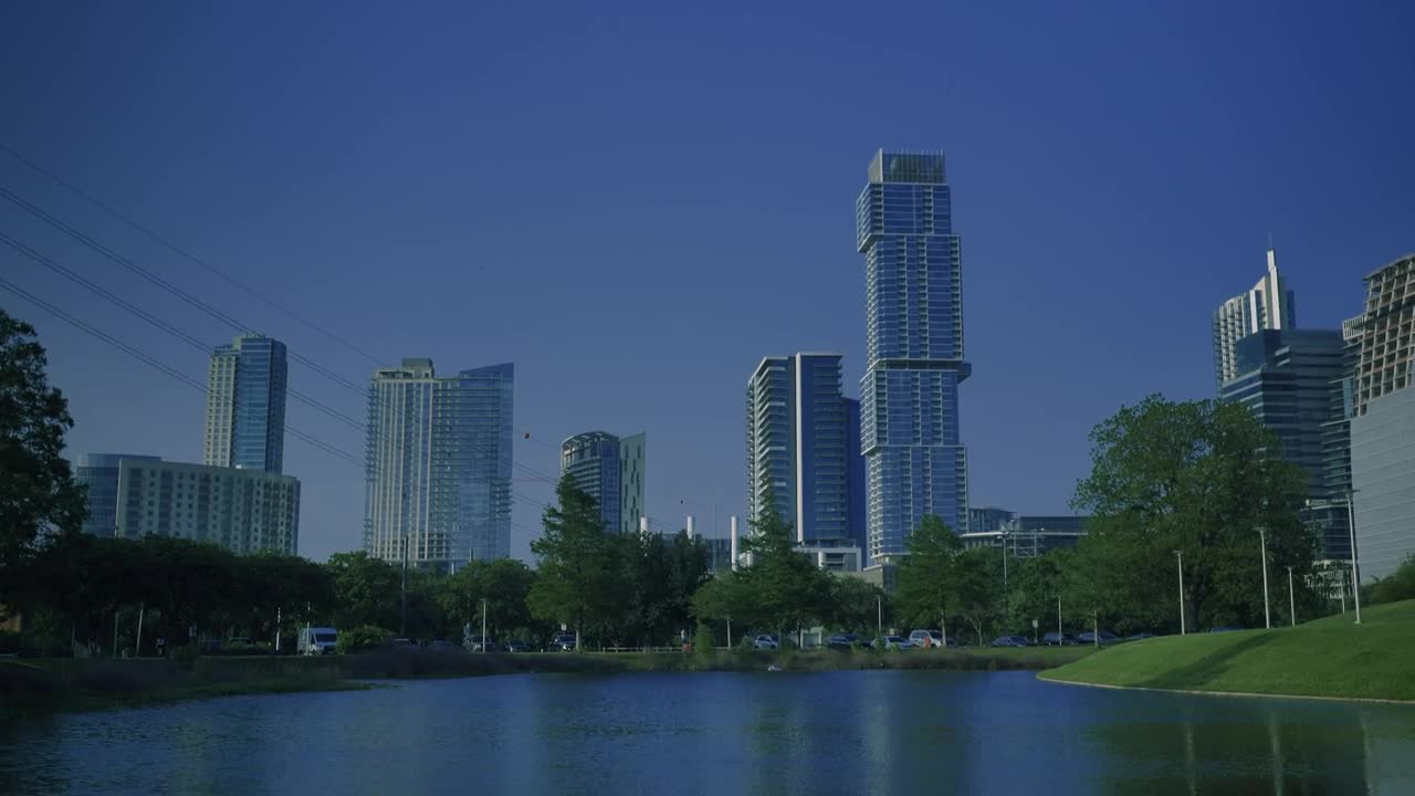 Stock Video Ducks In A Natural Park Of A Big City Live Wallpaper For PC