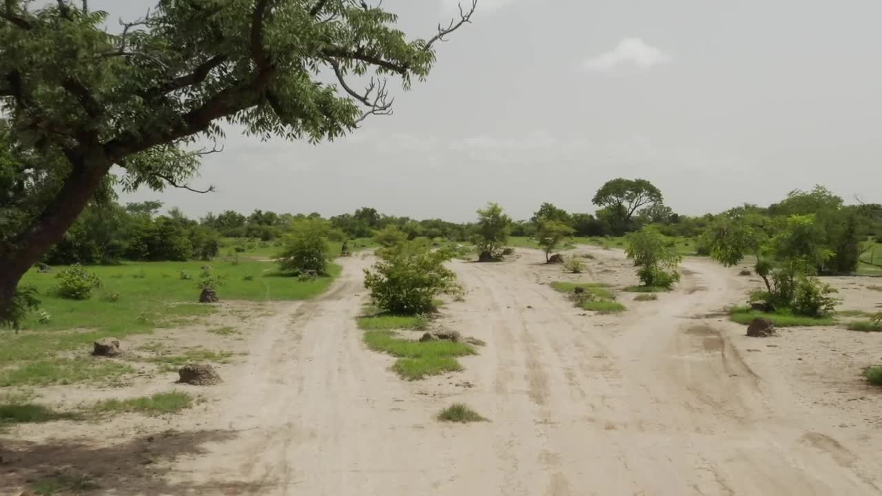 Stock Video Dry Roads Through Mali Live Wallpaper For PC