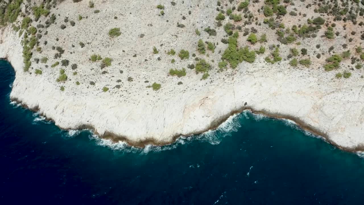 Stock Video Dry Plants Growing Along The Coast Live Wallpaper For PC