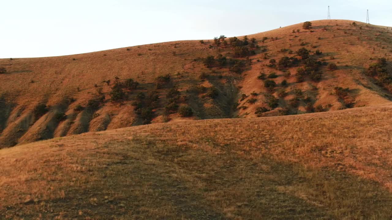 Stock Video Dry Hills And Trees Live Wallpaper For PC