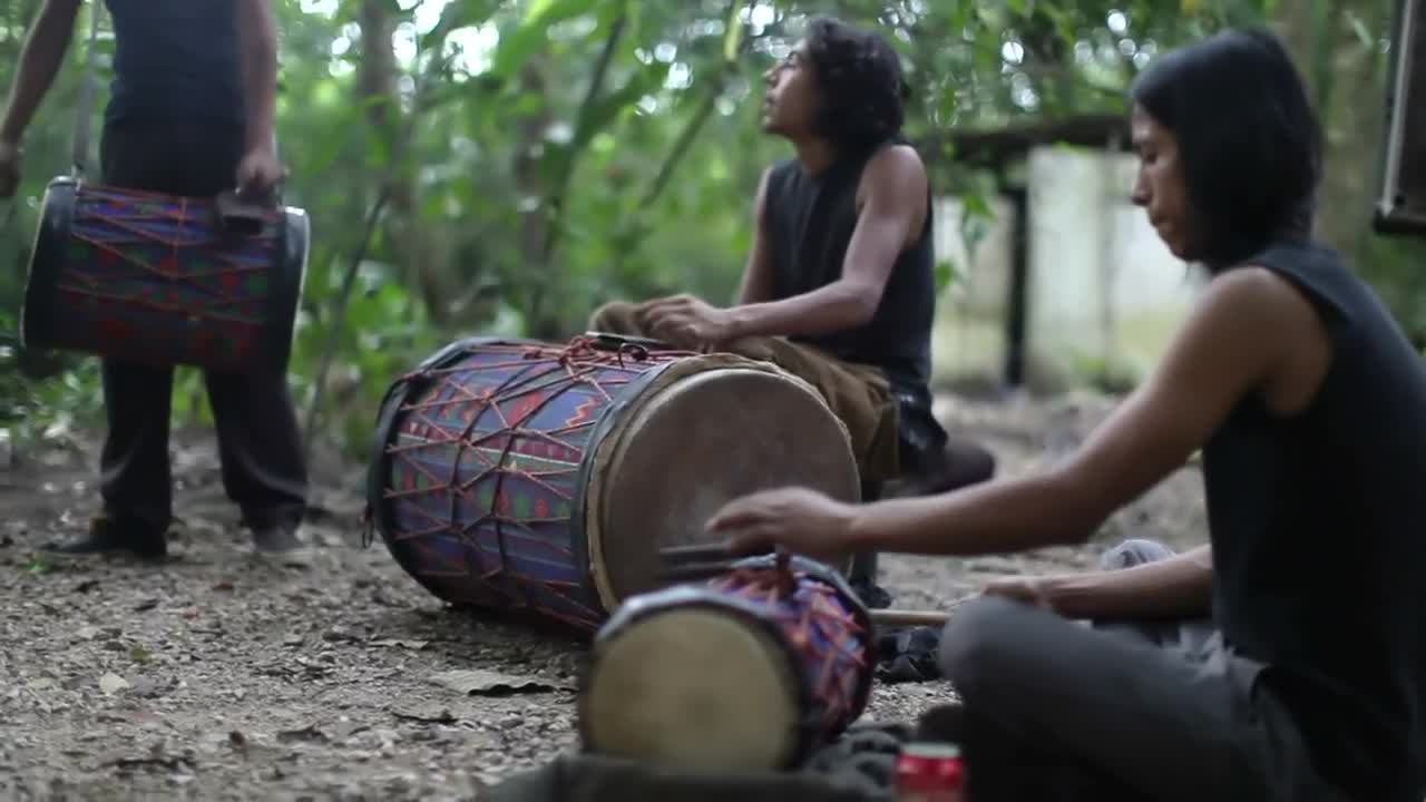 Stock Video Drummers At The Jungle Live Wallpaper For PC