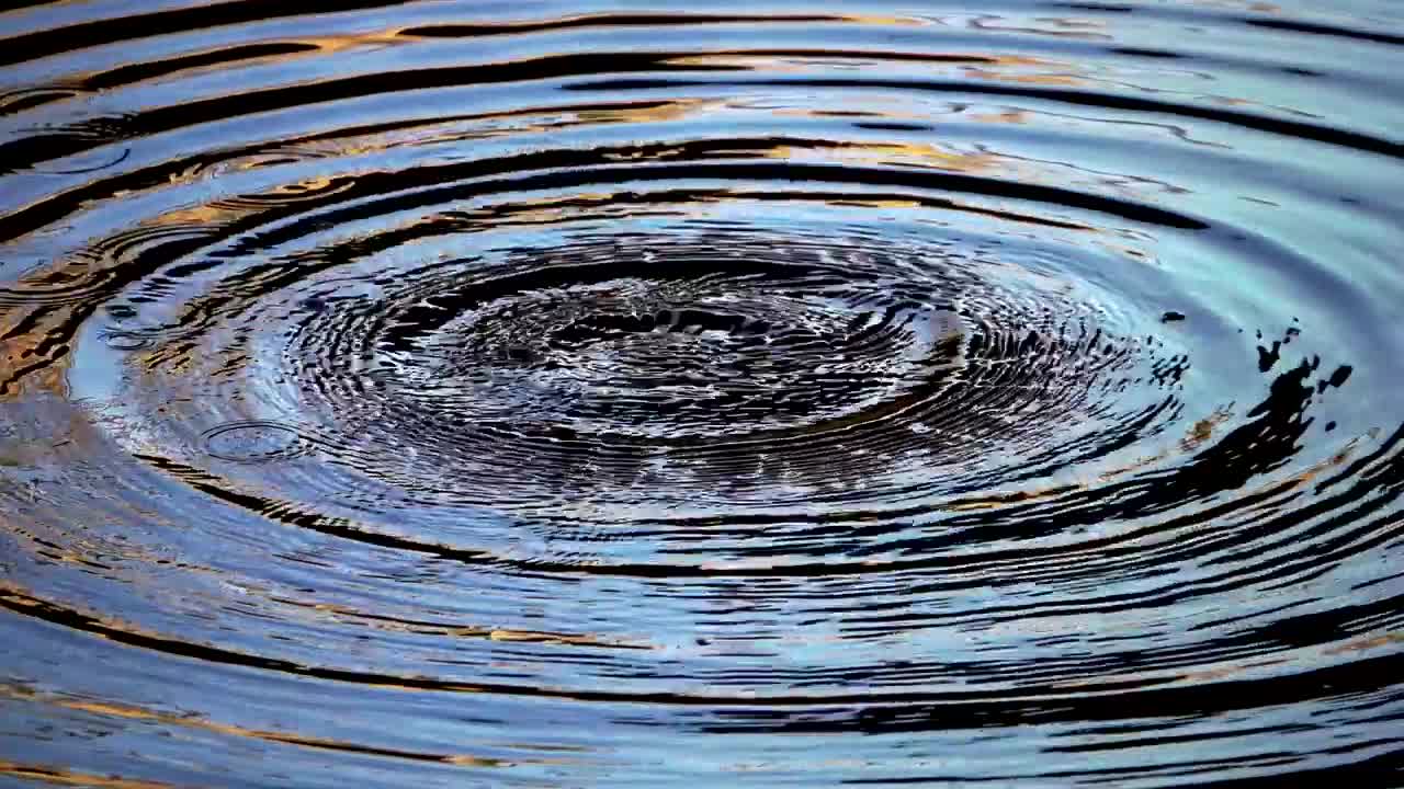 Stock Video Drops Of Water In The Pond Live Wallpaper For PC