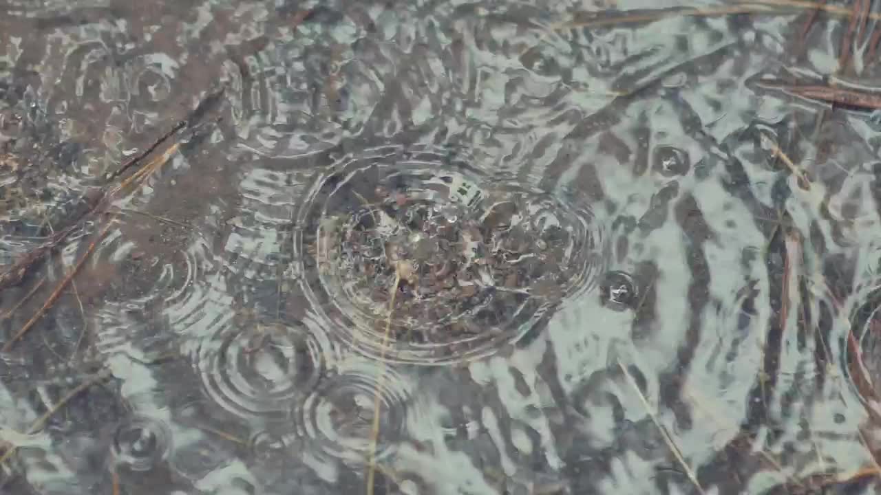 Stock Video Drops Of Water Falling In A Puddle Live Wallpaper For PC