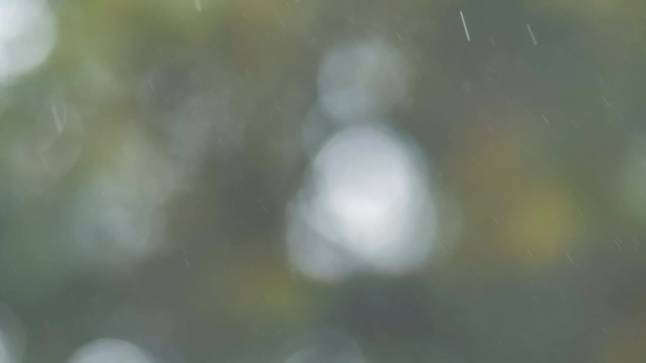 Stock Video Drops Of Rainwater Live Wallpaper For PC