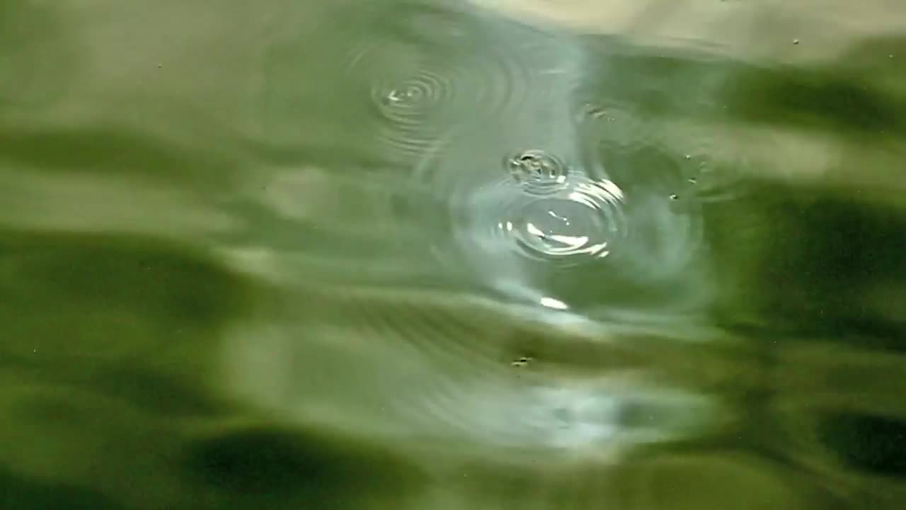 Stock Video Drops Across A Shallow Lake Live Wallpaper For PC