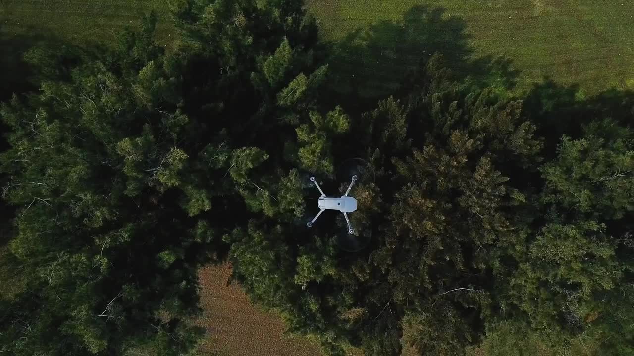 Stock Video Drone View Over Trees Live Wallpaper For PC