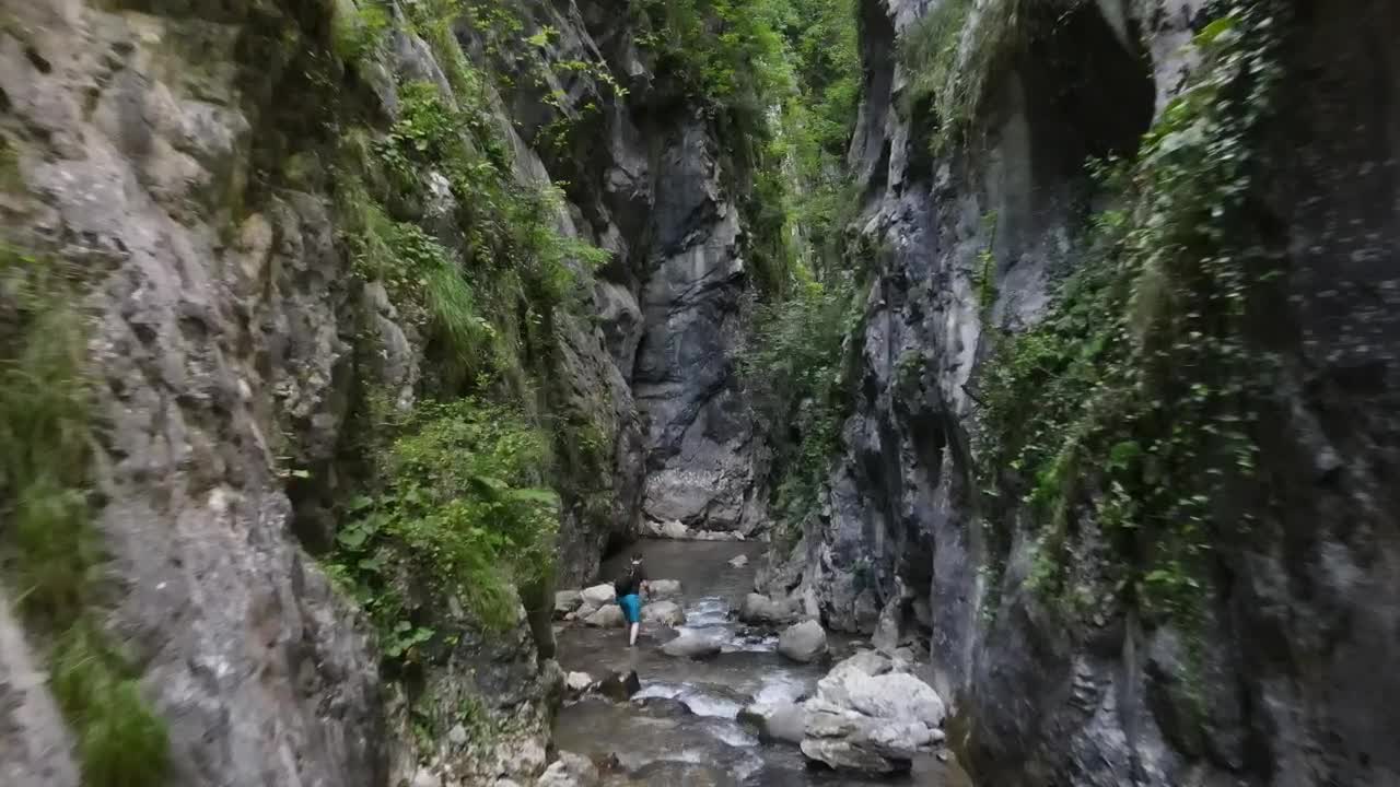 Stock Video Drone Ride By A River In A Jungle Live Wallpaper For PC