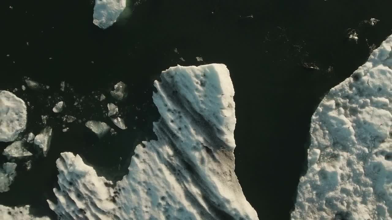 Stock Video Drone Following Sea Birds Live Wallpaper For PC