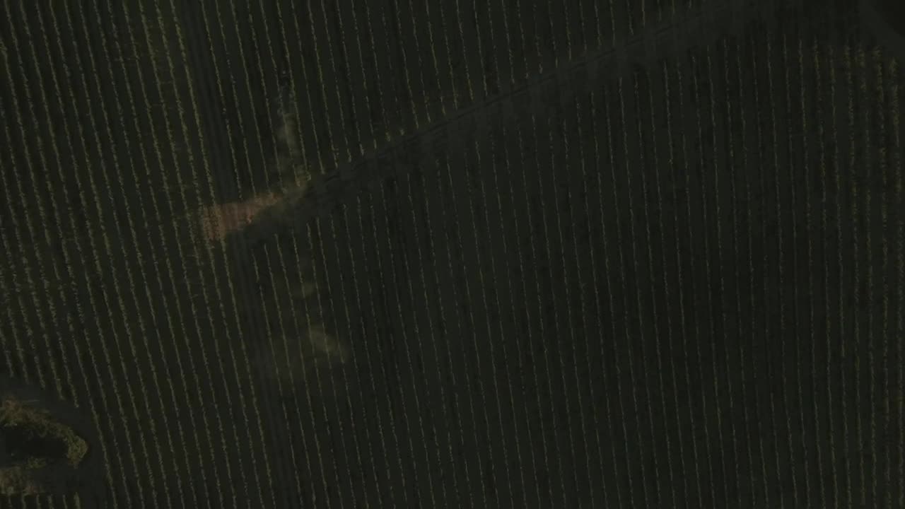 Stock Video Drone Following A Field Live Wallpaper For PC