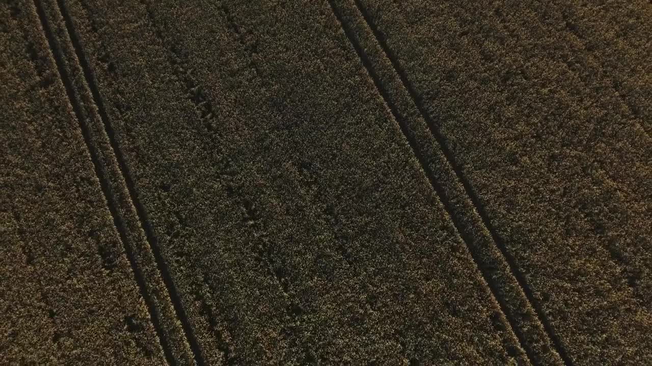 Stock Video Drone Flying Over Large Fields Live Wallpaper For PC