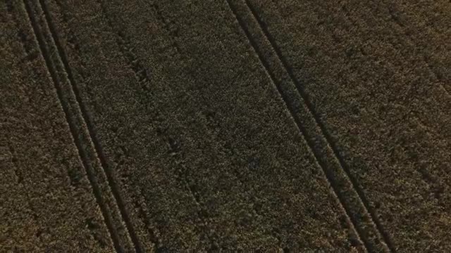 Stock Video Drone Flying Over Large Fields  Smal Live Wallpaper For PC