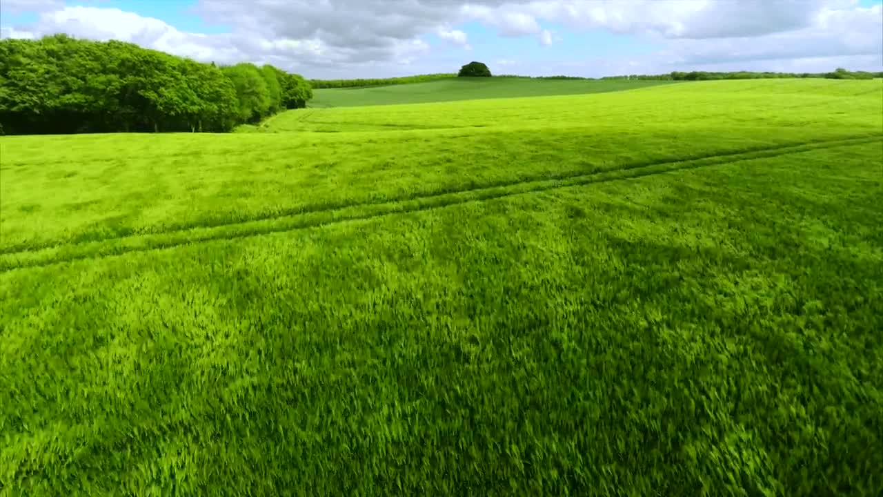Stock Video Drone Flying Over Grasslands Live Wallpaper For PC