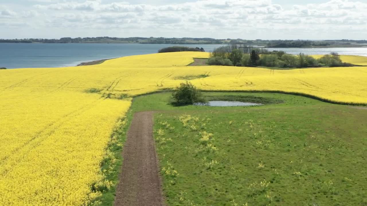 Stock Video Drone Flying Over Grassland Live Wallpaper For PC