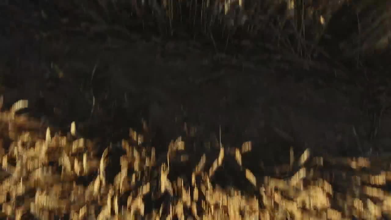 Stock Video Drone Flying Over Crops Quickly Live Wallpaper For PC