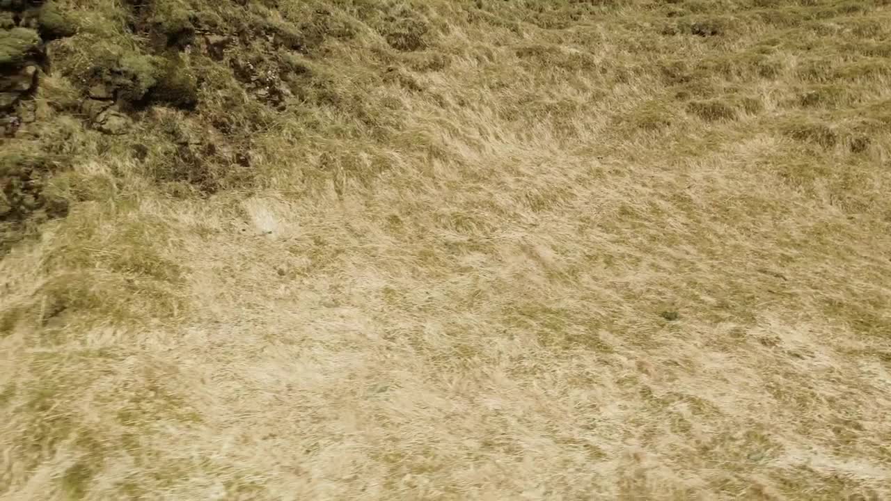 Stock Video Drone Flying Over A Stream Live Wallpaper For PC