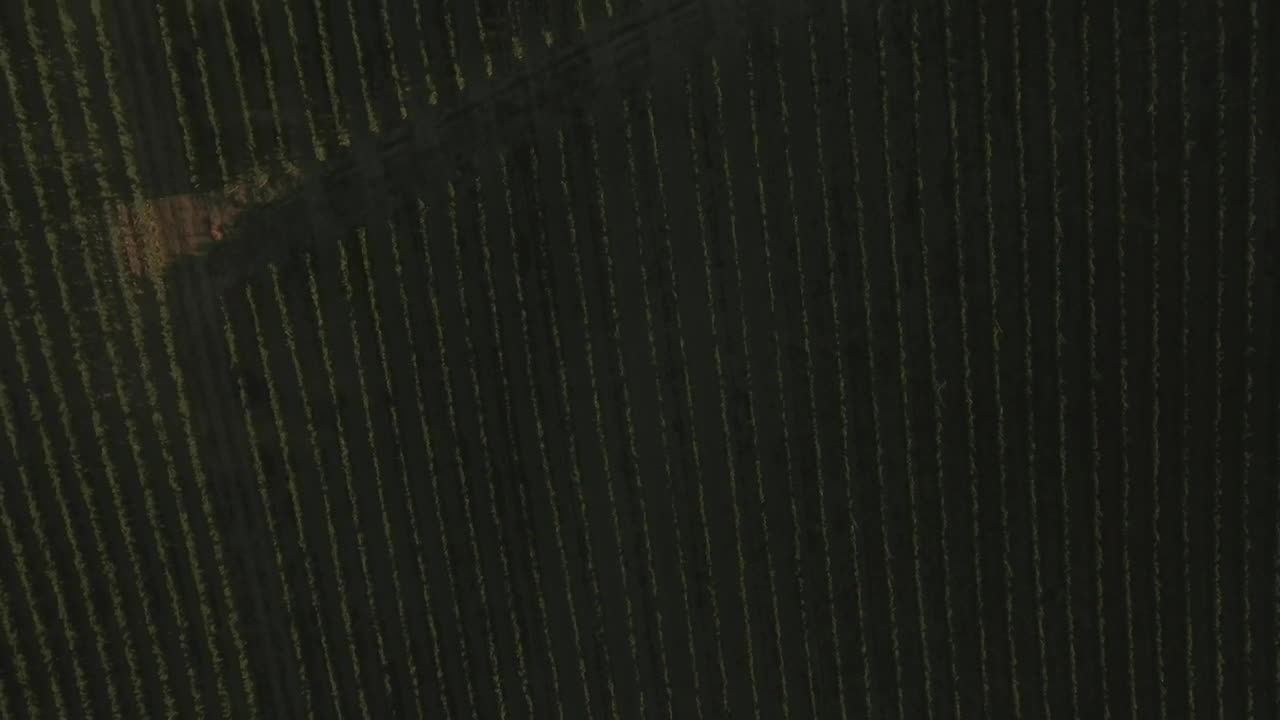 Stock Video Drone Flying Over A Field Live Wallpaper For PC