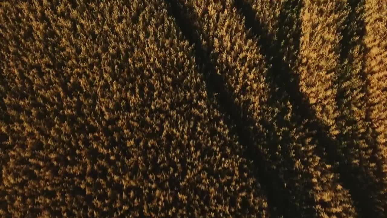 Stock Video Drone Flying Low Over Farmland Live Wallpaper For PC