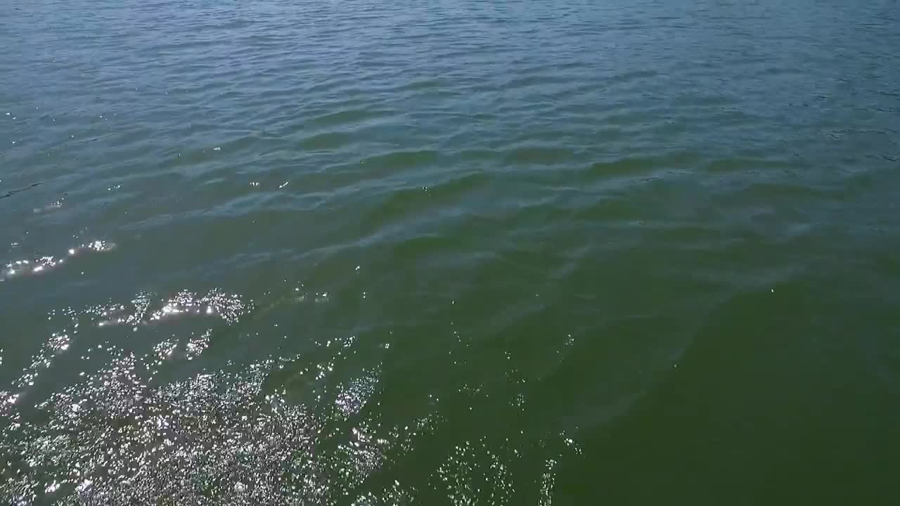Stock Video Drone Flying Low Across A Lake Live Wallpaper For PC