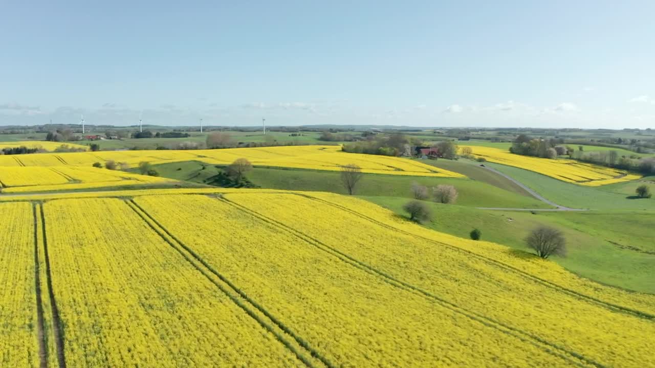 Stock Video Drone Flying High Over Crops Live Wallpaper For PC