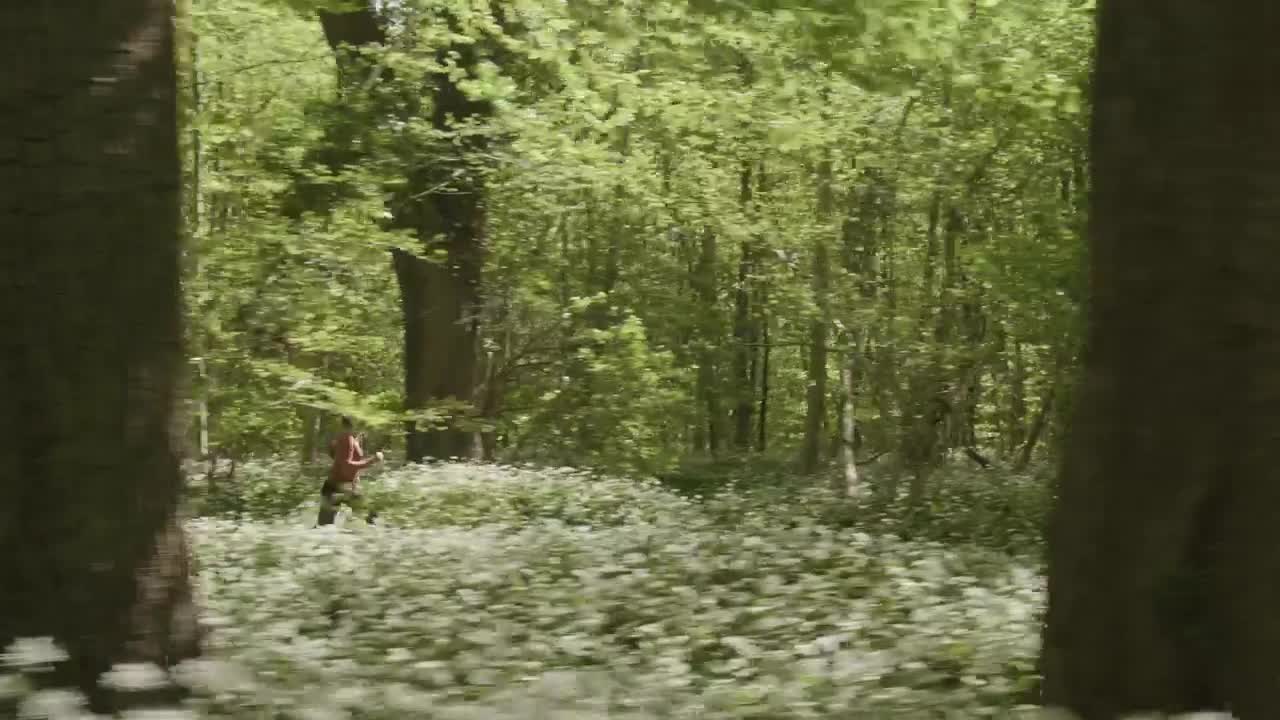 Stock Video Drone Chasing A Runner Live Wallpaper For PC