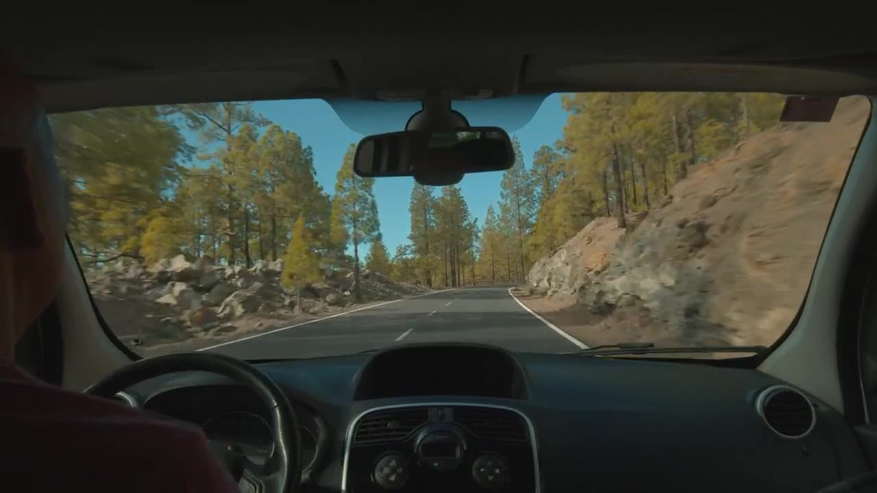 Stock Video Driving Through A Forest In Tenerife Live Wallpaper For PC