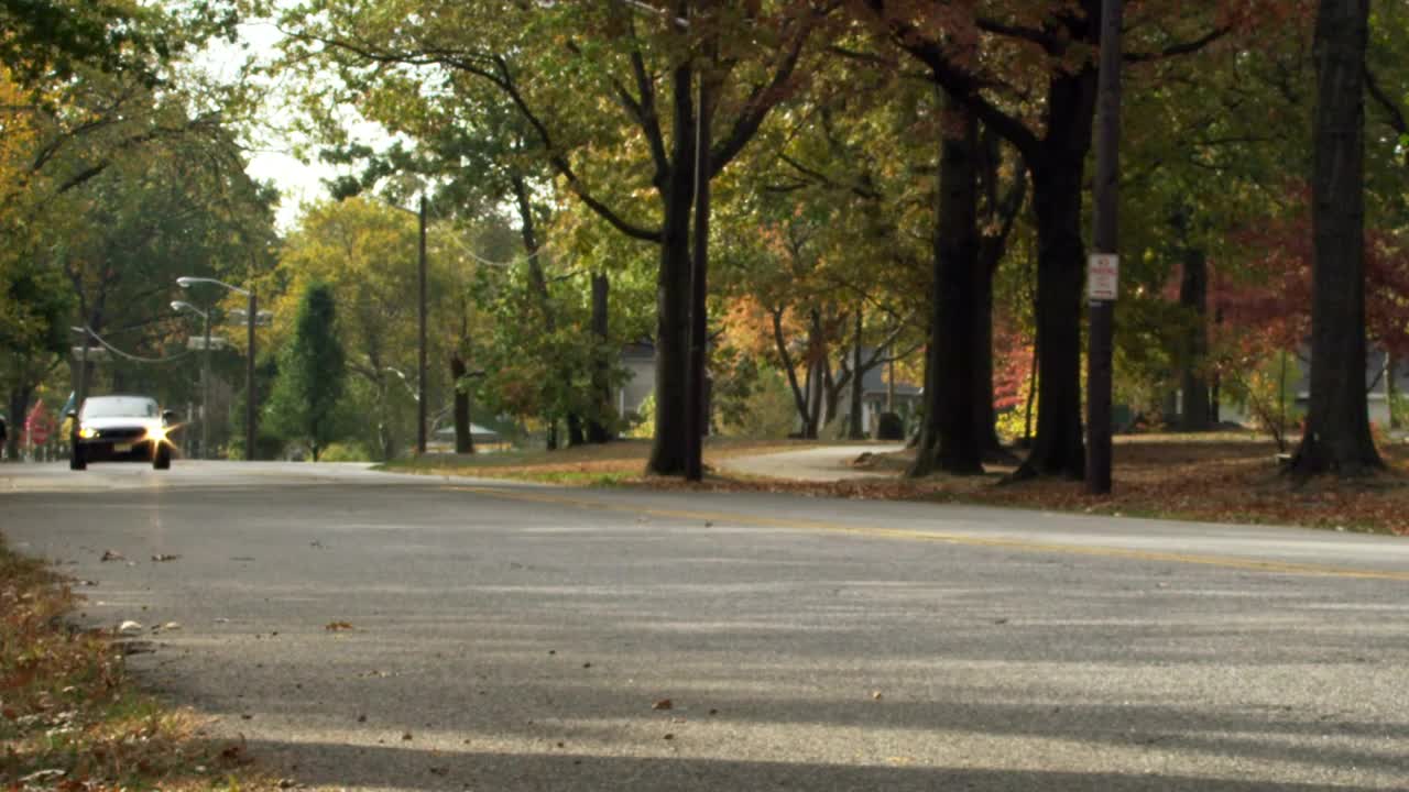 Stock Video Driving In The Autumn Live Wallpaper For PC