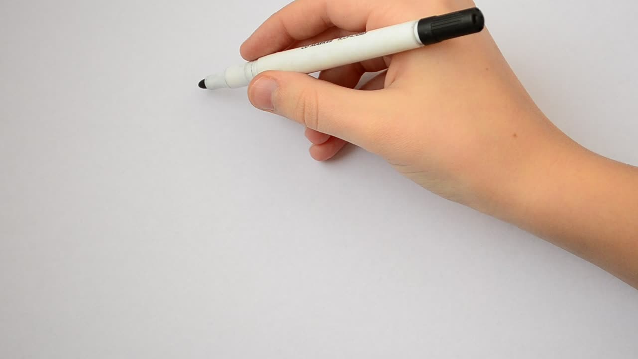 Stock Video Drawing Tableware On Paper Live Wallpaper For PC