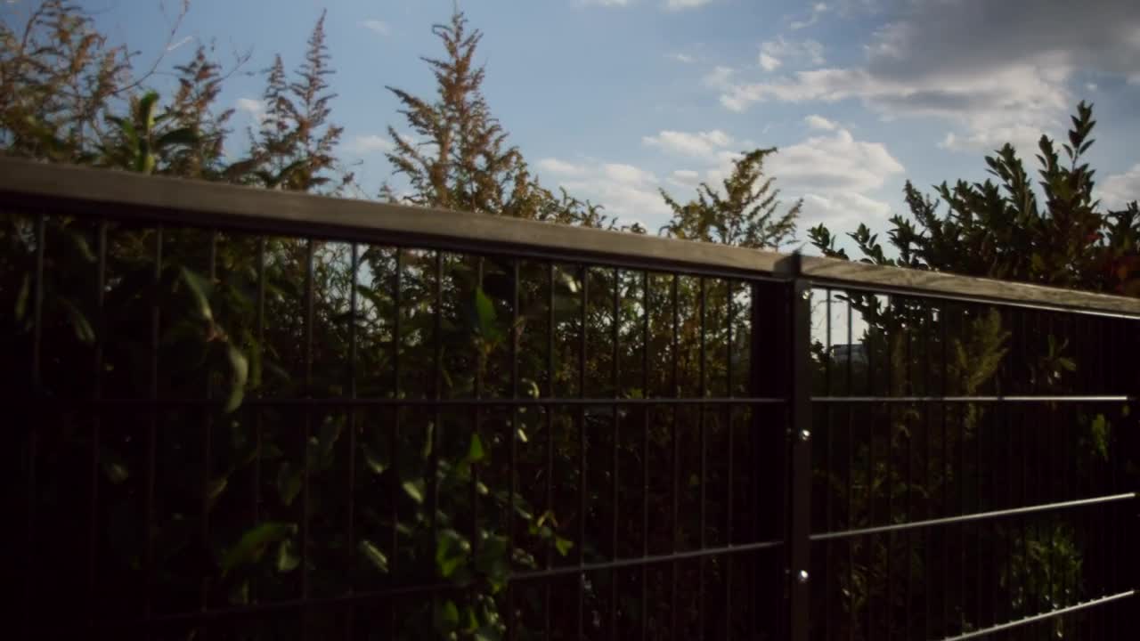 Stock Video Downtown Skyline From Far Away Live Wallpaper For PC