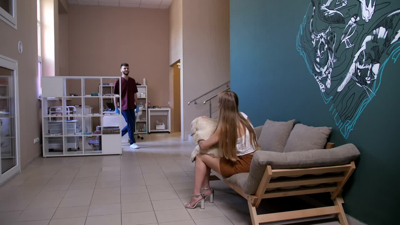 Stock Video Dog Visiting A Vet Live Wallpaper For PC