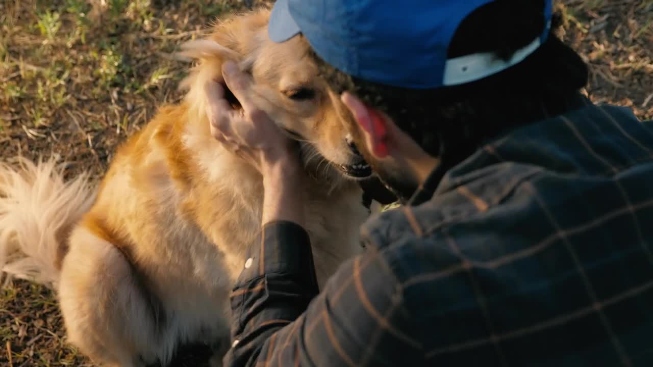 Stock Video Dog Being Petted Live Wallpaper For PC
