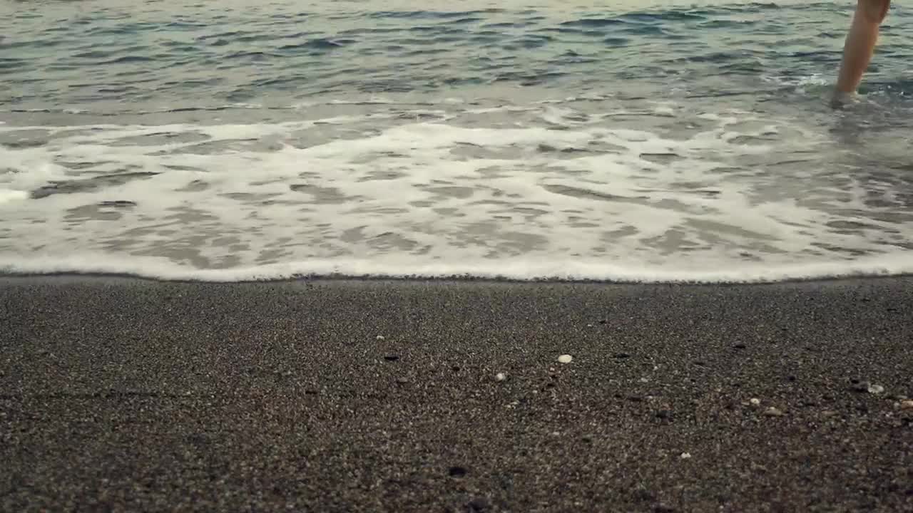 Stock Video Dog And Its Owners On The Seashore Live Wallpaper For PC