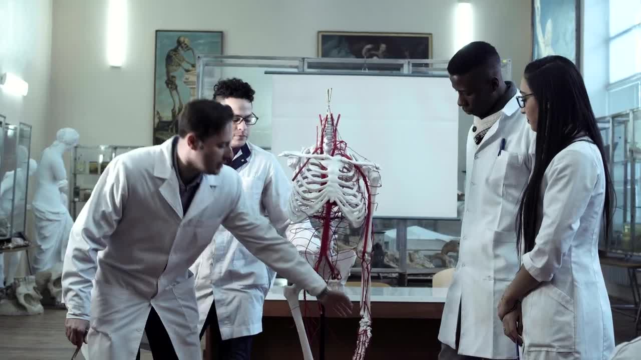 Stock Video Doctor Students In The Classroom Live Wallpaper For PC