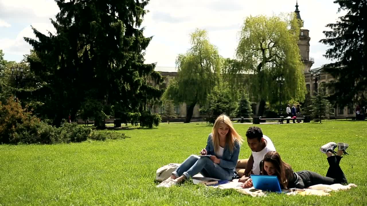 Stock Video Diverse Unversity Students Study On Grass Live Wallpaper For PC