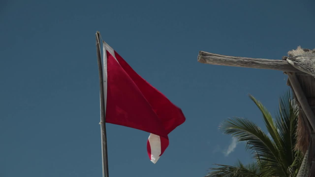 Stock Video Diver Safety Flag Live Wallpaper For PC