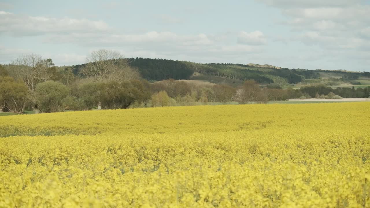 Stock Video Distant Hills And Farmland Live Wallpaper For PC