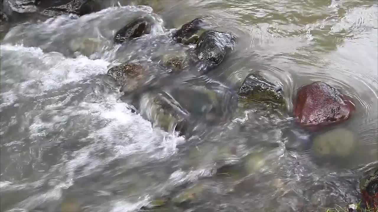 Stock Video Dirty Stream Flowing Over Pebbles Live Wallpaper For PC