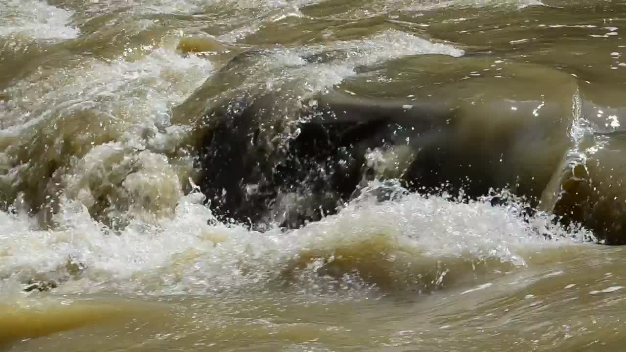 Stock Video Dirty River Water Live Wallpaper For PC