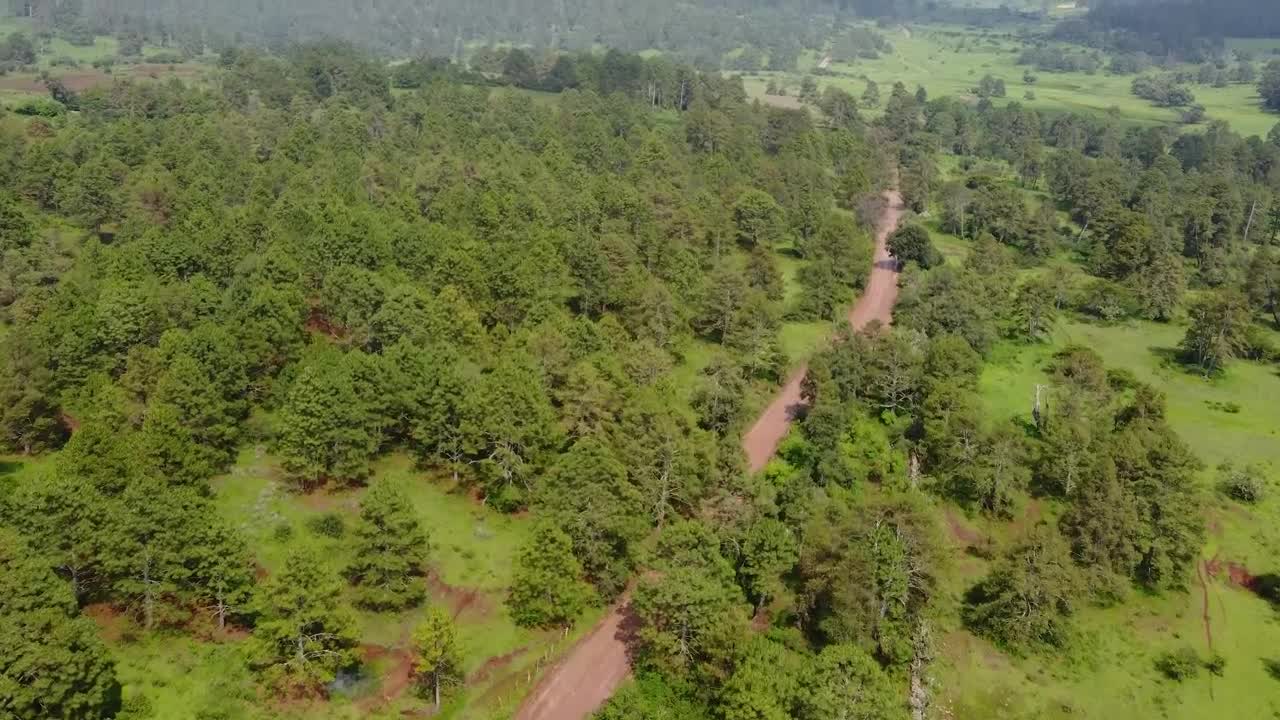 Stock Video Dirt Road That Crosses A Forest From Above Live Wallpaper For PC